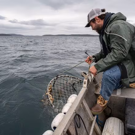 Legacy 15in Boot - Men's