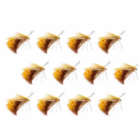 Jig Sparkle Yummy - 12-Pack