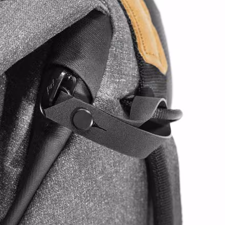 Everyday 20L Backpack