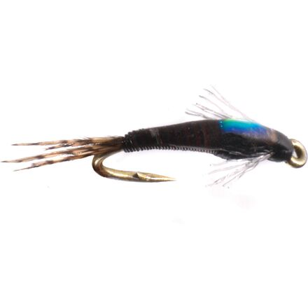 Juju Baetis 12-Pack