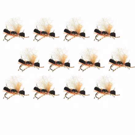 Stubby Chubby 12-Pack