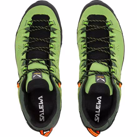 Alp Trainer 2 GTX Hiking Shoe - Men's