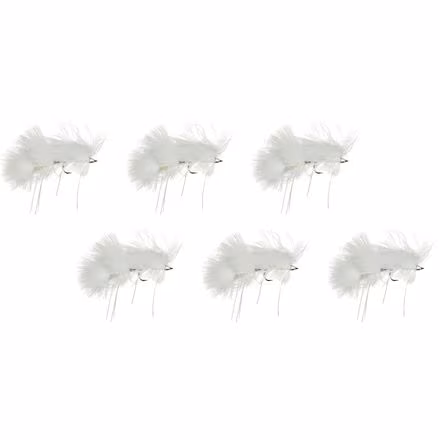 Galloup's Peanut Envy - 6 Pack