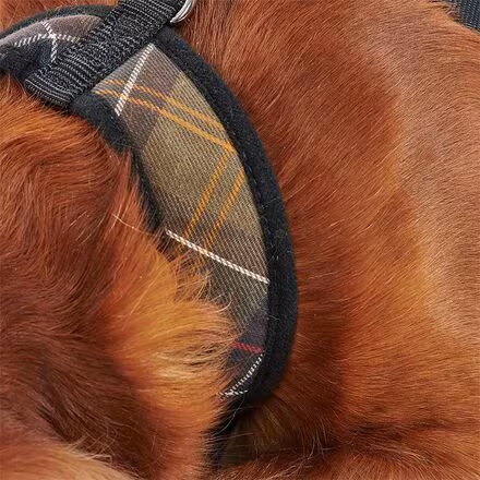 Tartan Dog Harness