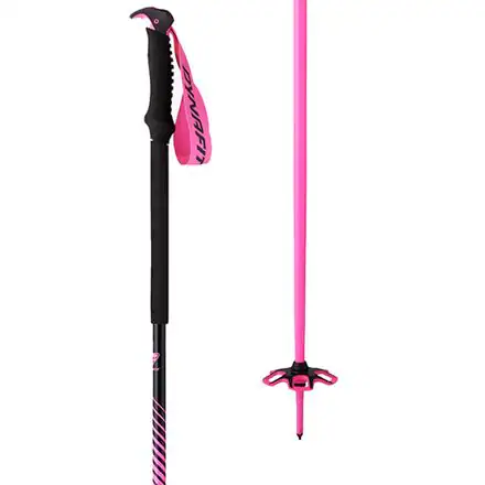 Tour Ski Poles