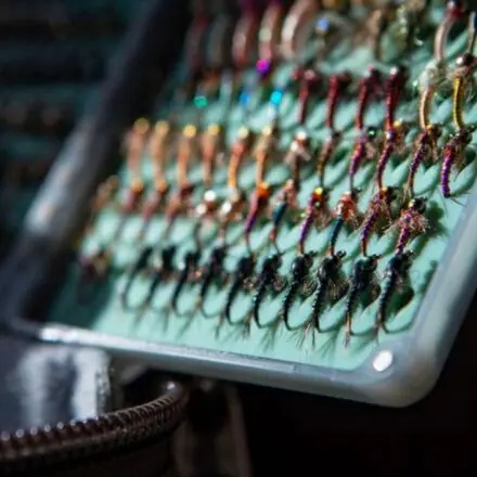 Tacky Original 2X Fly Box