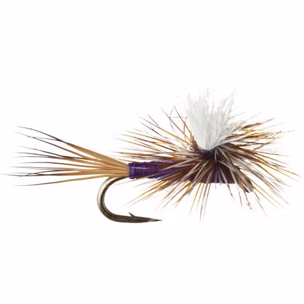 Carlson's Purple Haze - 12-Pack