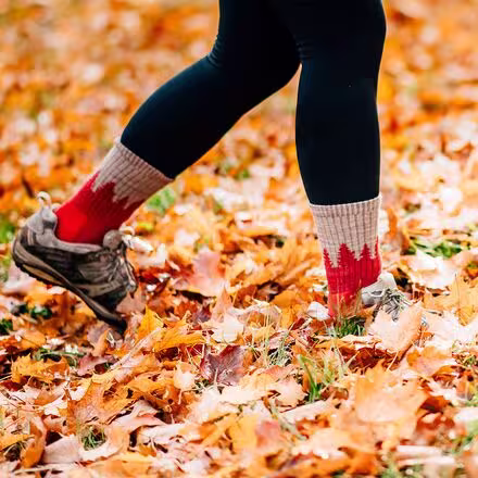 Treeline Micro Crew Cushion Sock - Women's