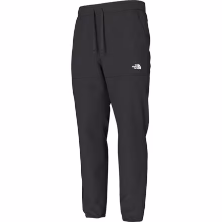 Alpine Polartec 100 Pant - Men's