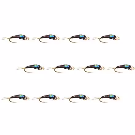 Juju Baetis Tung 12-Pack