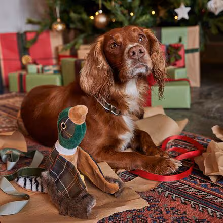 Pheasant Dog Toy