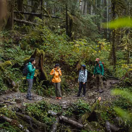 MicroGravity Jacket - Women's