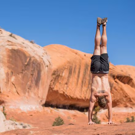 Mono Winged Edition Sandal