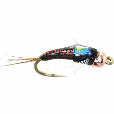 Juju Baetis Tung 12-Pack