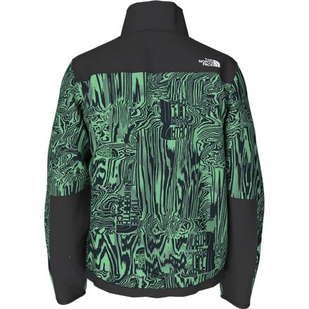 Denali 2 Fleece Jacket - Men's