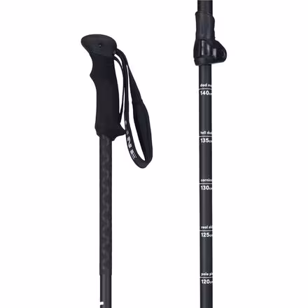 Vision Ski Pole