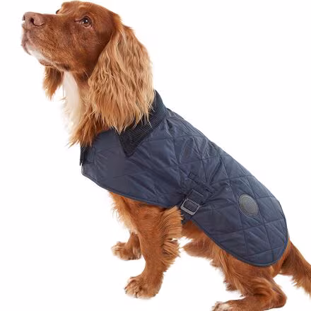 Quilted Dog Coat