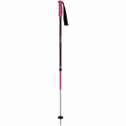 Trailblazer Trekking Poles - Kids'