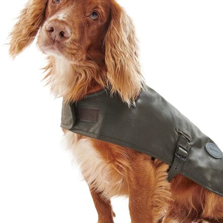 Wax Dog Coat