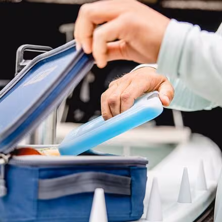 Daytrip 3.1L Lunch Box