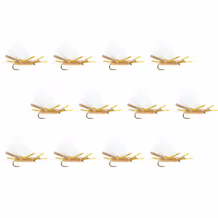 Chubby Chernobyl 12-Pack