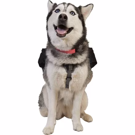Dog Vest