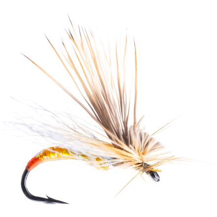 Missing Link 12-Pack