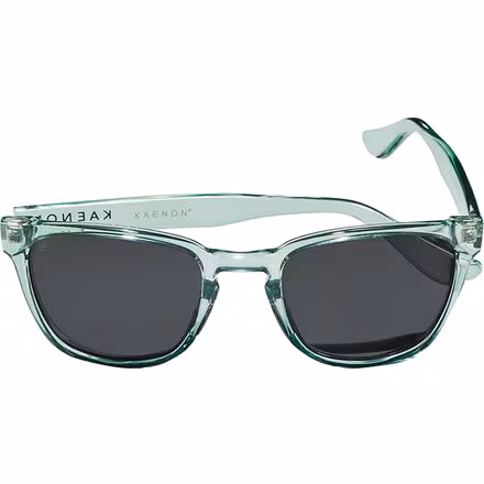 Avalon Polarized Sunglasses