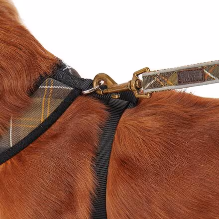 Tartan Dog Harness