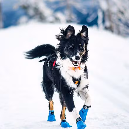 Long Distance Bootie