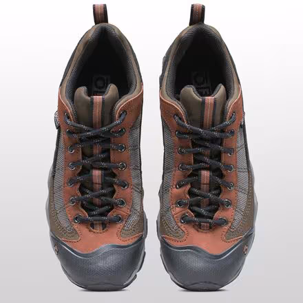 Firebrand II B-Dry Hiking Shoe - Men's