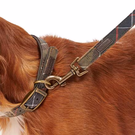 Tartan/Webbing Lead