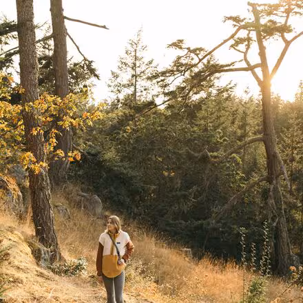 Timber Lane Pullover - Women's