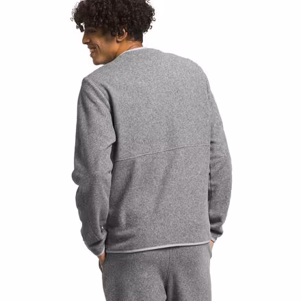 Alpine Polartec 100 Crew - Men's