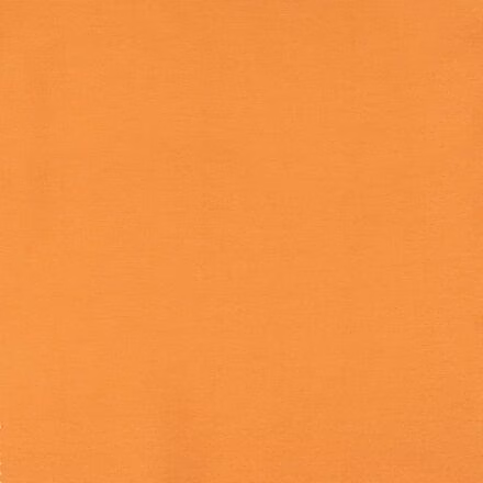 Earthworks Camp Short - Women's