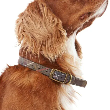 Tartan Dog Collar