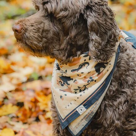 Appalachian Animals Bandana