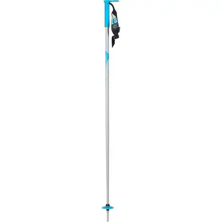 Wallischtick Ski Poles