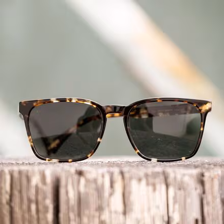 Pierce Polarized Sunglasses