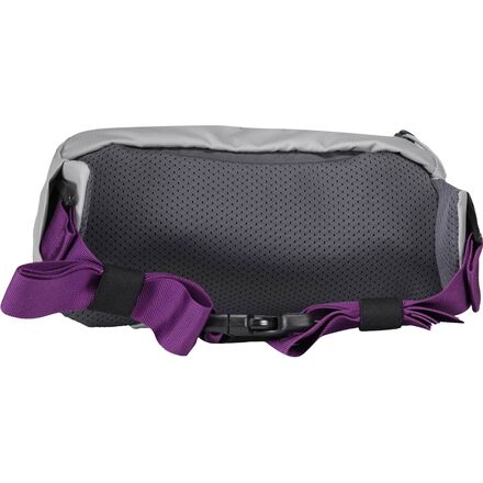 Forager 2.5L Hip Pack