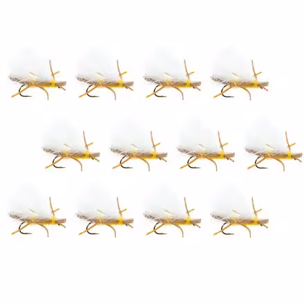 Chubby Chernobyl 12-Pack