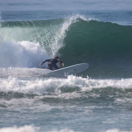 The Big Brother Sting Surfboard - Fusion-HD - FCS II