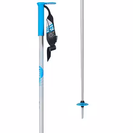 Wallischtick Ski Poles