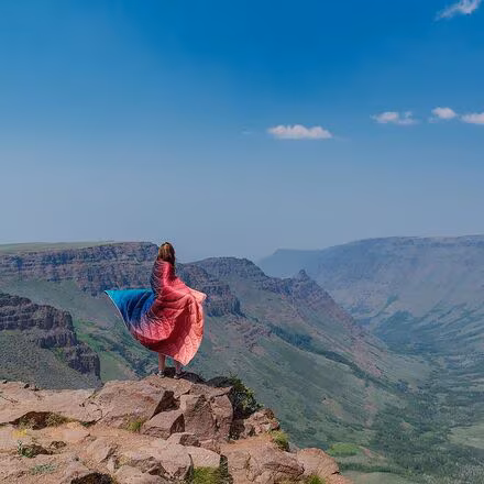 Original Puffy - Arizona Fade