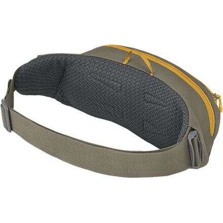 Daylite 2L Waist Pack