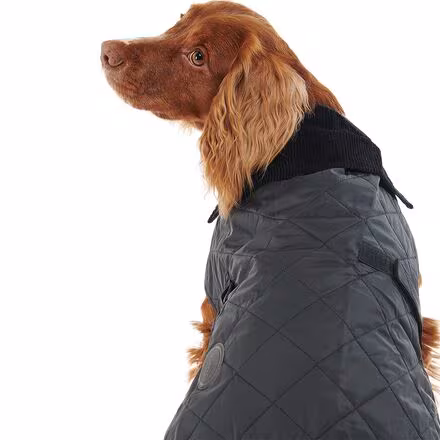 Quilted Dog Coat