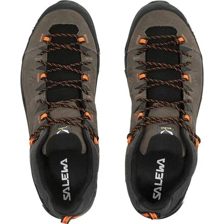 Alp Trainer 2 GTX Hiking Shoe - Men's