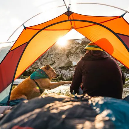 Cosmic Sleeping Bag: 20F Synthetic - Women's