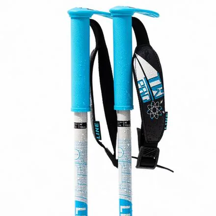 Wallischtick Ski Poles