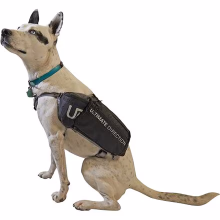 Dog Vest